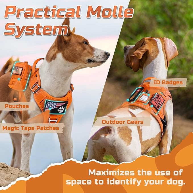 rabbitgoo Tactical Dog Harness Medium Sized Dog, No Pull Military Service Vest with Handle & Molle, Easy Control for Training Walking, Adjustable Reflective Straps, Orange, M