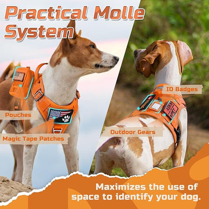 rabbitgoo Tactical Dog Harness Medium Sized Dog, No Pull Military Service Vest with Handle & Molle, Easy Control for Training Walking, Adjustable Reflective Straps, Orange, M