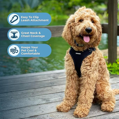 Best Pet Supplies Voyager Adjustable Step-in Flex Breathable Mesh Dog Harness for Small Medium Large Dogs Leash Set (Black), L