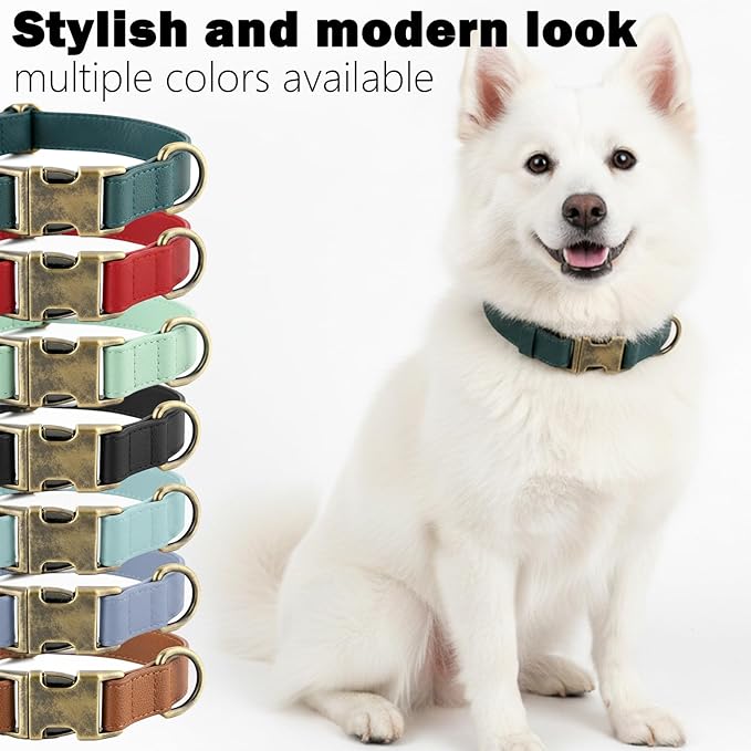 Silicone Dog Collar and Leash Set, Waterproof & Odor-Proof Puppy Collar for Small Dogs, Soft Flexible Leather-Look Dog Collars, Durable Thick Adjustable Pet Collar (Green, Small (9-14" Neck))