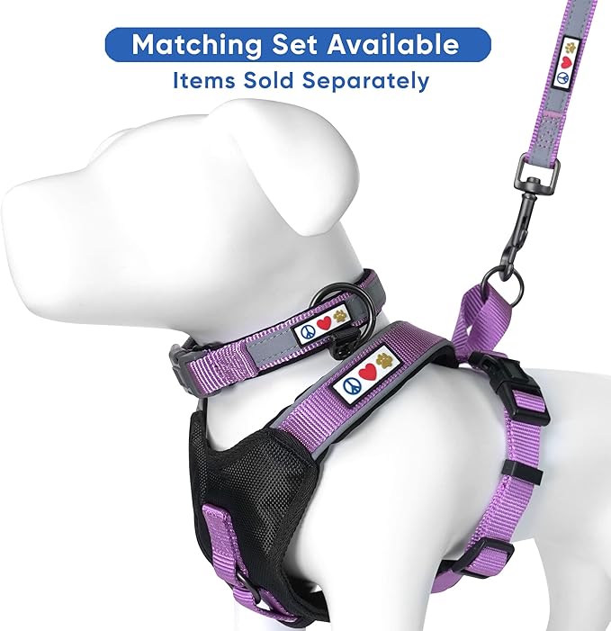 Pawtitas Personalized Orchid Dog Leash 6 ft Custom ID Lead for Dogs & Puppies Reflective Comfortable Padded Handle Embroidered Name & Phone Number