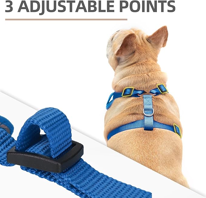 PUPTECK Small Dog Harness and Leash Set, No Pull Adjustable Puppy Cat Harness, Reflective Soft Mesh Pet Vest Small Sized, Blue, XS