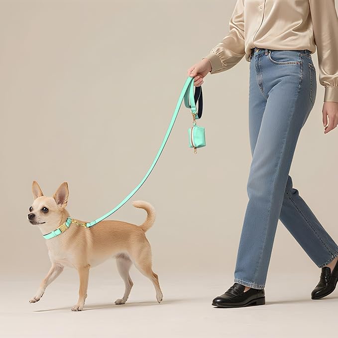 Didog Soft Padded Dog Collars for Medium Dogs, Colorful and Durable Dog Collar with Quick Release Buckle, Light and Breathable for Daily Walking, Teal, M