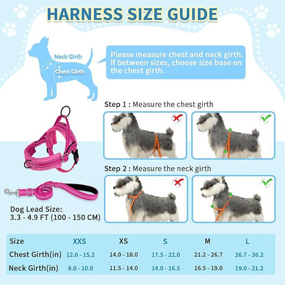 SlowTon No Pull Small Dog Harness and Leash Set, Puppy Soft Vest Harness Neck & Chest Adjustable, Reflective Lightweight Harness & Anti-Twist Pet Lead Combo for Small Medium Dogs (Fuchsia, XXS)