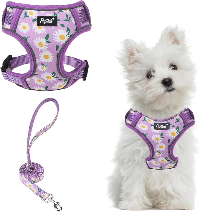 PUPTECK Small Dog Harness and Leash Set, No Pull Adjustable Puppy Cat Harness, Reflective Soft Mesh Pet Vest Small Sized, Daisy, S