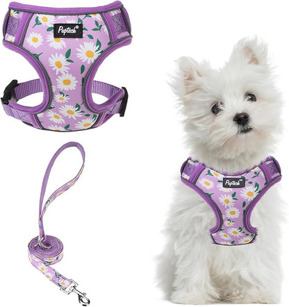 PUPTECK Small Dog Harness and Leash Set, No Pull Adjustable Puppy Cat Harness, Reflective Soft Mesh Pet Vest Small Sized, Daisy, S
