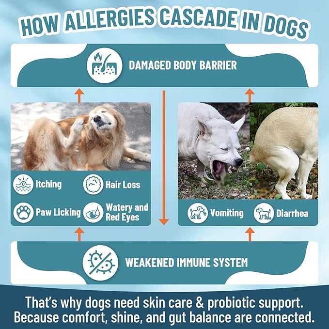 VICSOM Dog Allergy Chews for Dogs Itching Skin Relief with Probiotics for Dogs Immune Support, Itchy Skin & Ears, Licking Paws, Itch Relief for Dog with Probiotics for Gut Health, 200 Chews