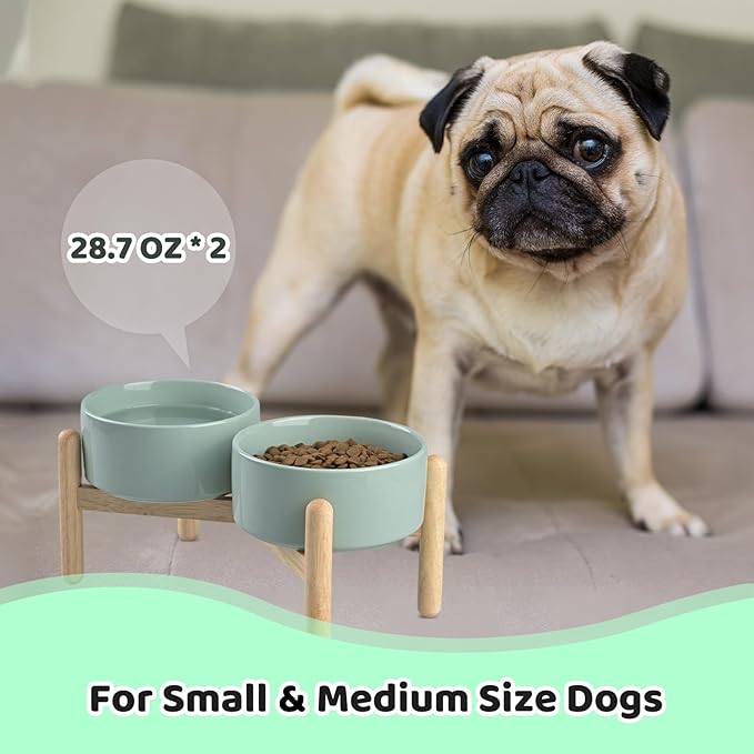 SPUNKYJUNKY Ceramics Raised Dog Bowls with Wooden Stand - Elevated Bowls for Small Medium Dogs (Double 28.7OZ, Light Green)