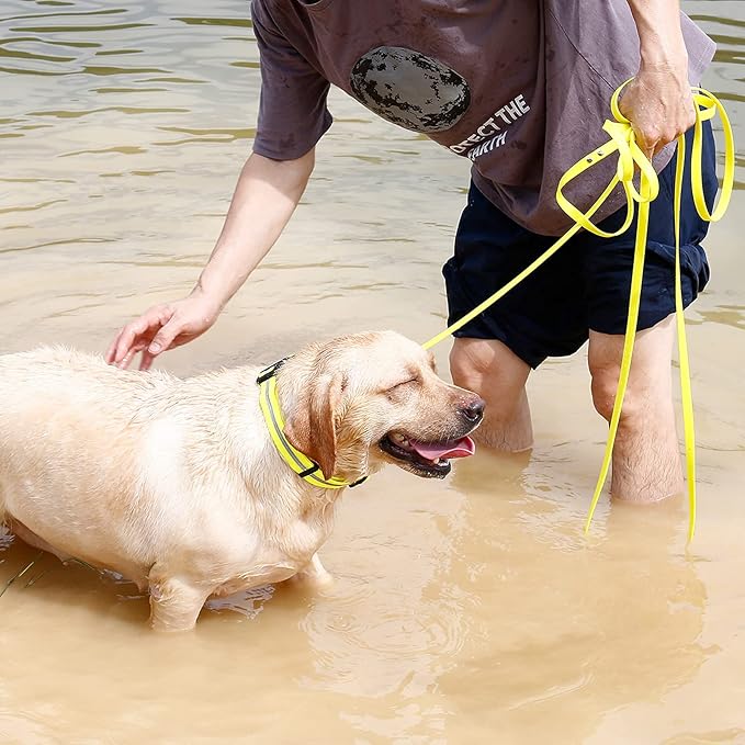 Long Dog Leash Waterproof Recall Training Lead Outdoor Long Line Great for Training, Beach, Play, Camping, or Backyard