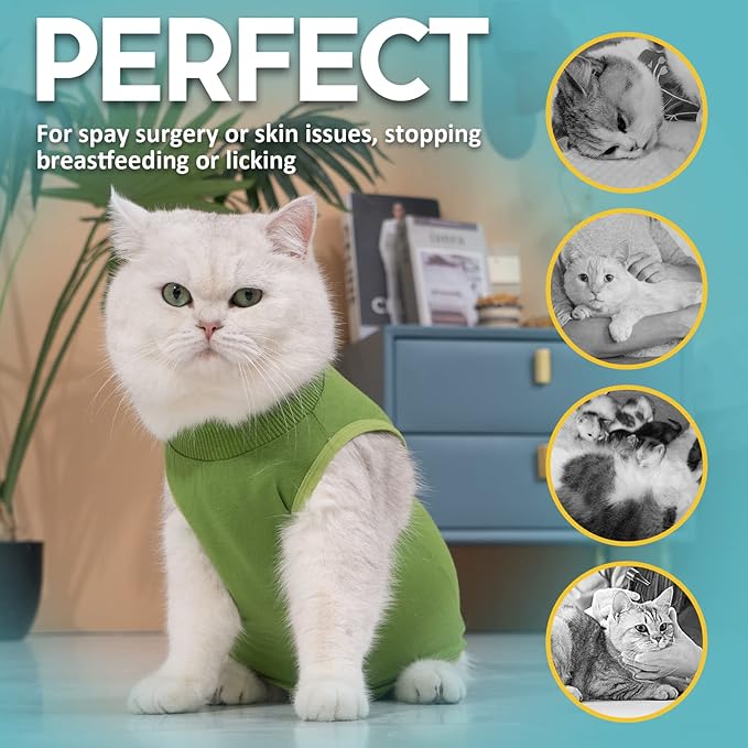 Avont Cat Recovery Suit - Kitten Onesie for Cats After Surgery, Cone of Shame Alternative Surgical Spay Suit for Female Cat, Post-Surgery or Skin Diseases Protection -Green(M)