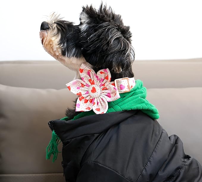 Lionet Paws Valentine‘s Day Dog Collar with Flower, Soft and Comfortable, Adjustable Collar for Medium Dogs Girl, Neck 13.5-22 inches