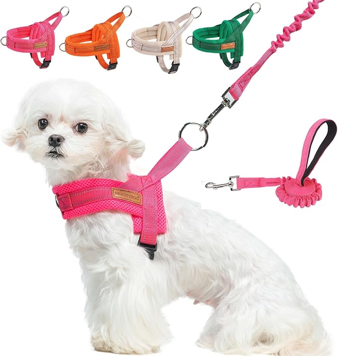 BEAUTYZOO Dog Harness for Small Dogs, No Pull Dog Harness and Leash Set, Soft Escape Proof Puppy Vest Harness with Handle, Reflective Lightweight Step in Harness for Girl Boy Dogs, Pink XS