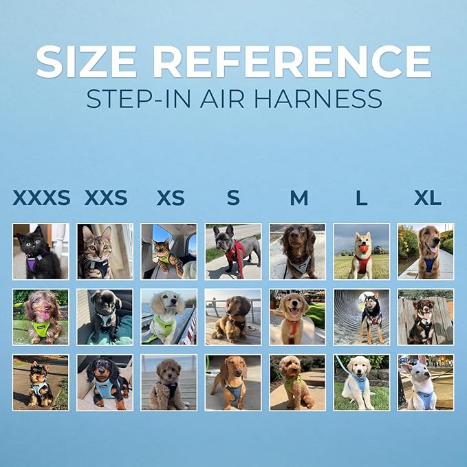 Best Pet Supplies Voyager Step-in Air Harness - All Weather Mesh, Reflective, No Pull Harness for Dogs, Cats - Secure with Hook & Loop Fastener, Buckle, Double D-Rings - Blue, XL