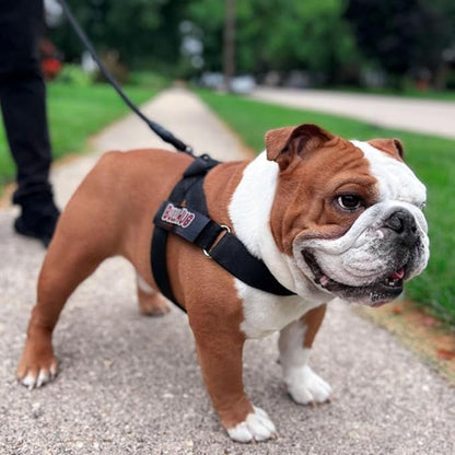 BULLHUG Adjustable Dog Harness– No Pull, No Choke – for English Bulldogs, French Bulldogs, Pugs & Broad-Chested Breeds – Easy, Safe Walks (Black, XL)