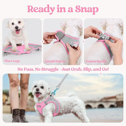 rabbitgoo Dog Harness Small Sized and Leash Set, Step in Soft Light Puppy Vest, Breathable Mesh Pet Harness, Reflective for Safe Easy Walking, Pink & Gray S