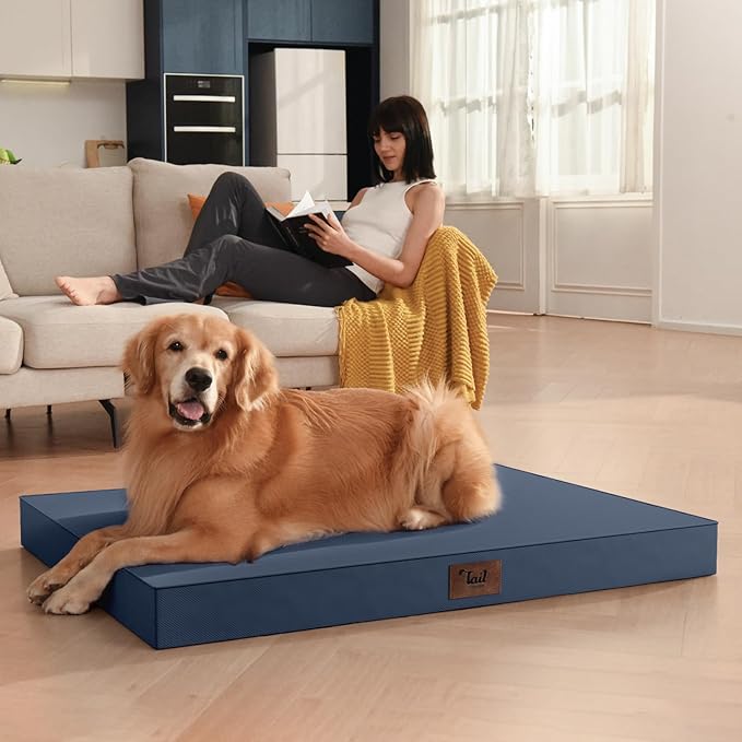 Tail Stories Large Outdoor All Weather Dog Bed, Waterproof Dog Bed for Large Dogs, Orthopedic Egg Crate Foam Pet Bed with Washable Removable Oxford Cooling Cover, 36x27 Inch, Navy