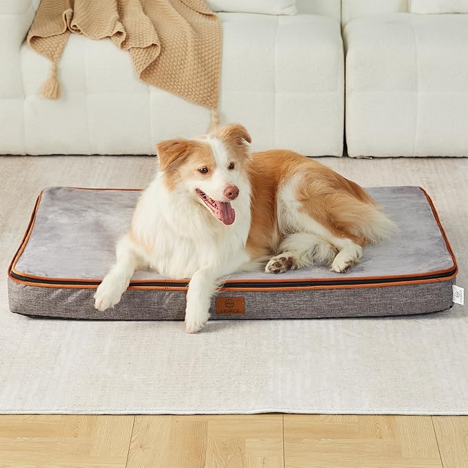 LIORCE Memory Foam XL Dog Bed - 4” Thick Orthopedic Beds for Extra Large Dogs - Waterproof Dog Bed with Removable Washable Cover & Wrap-Around Zipper - Ultimate Comfort and Easy Maintenance
