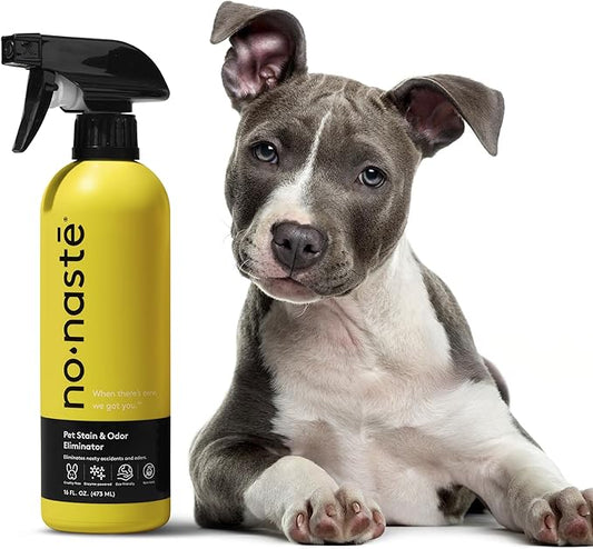 Nonaste Pet Stain & Odor Eliminator Spray (16 Oz, Pack of 1) – Enzyme Cleaner Spray for Dogs & Cat Messes, Works on Carpets & Upholstery | Pet & Kid Safe, Urine Odor Stain Remover, Light Fresh Scent