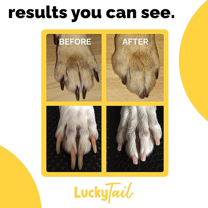 LUCKY TAIL - Dog Nail Grinder - Regular - Replacement Head - for Small, Medium & Large Dogs - Premium Quality - Diamond Tip Drill Bit - Professional Dog Nail Trimmers - Grooming Tool kit - 1 Pack