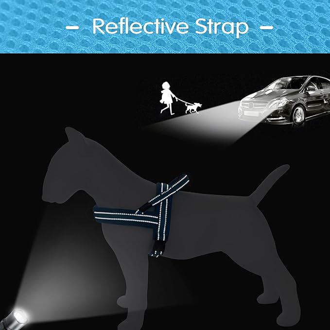 Didog No Pull Dog Harness with Soft Mesh Padded,Reflective & Quick Fit Light Weight Dog Strap Vest Harness,Easy for Walking Training (S:Chest 18-22", Mesh-Blue)