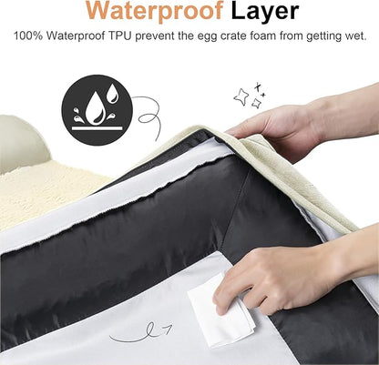 Medium Large Dog Bed Orthopedic Washable: Beds Bolster Medium Large Sized Dog Bed Egg Crate Foam Couch Sofa Waterproof with Removable Cover - Beige