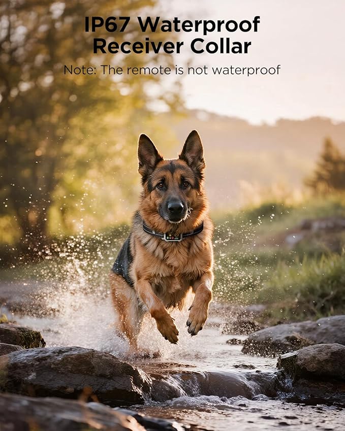 BLACKDOG Military Dog Shock Collar - 4200ft Dog Training Collar with Remote, 4 Training Modes, Flashlight & Strobe, 3-Month Battery, IP67 Waterproof Dog E Collar for All Breeds 5-150lbs (Beige)