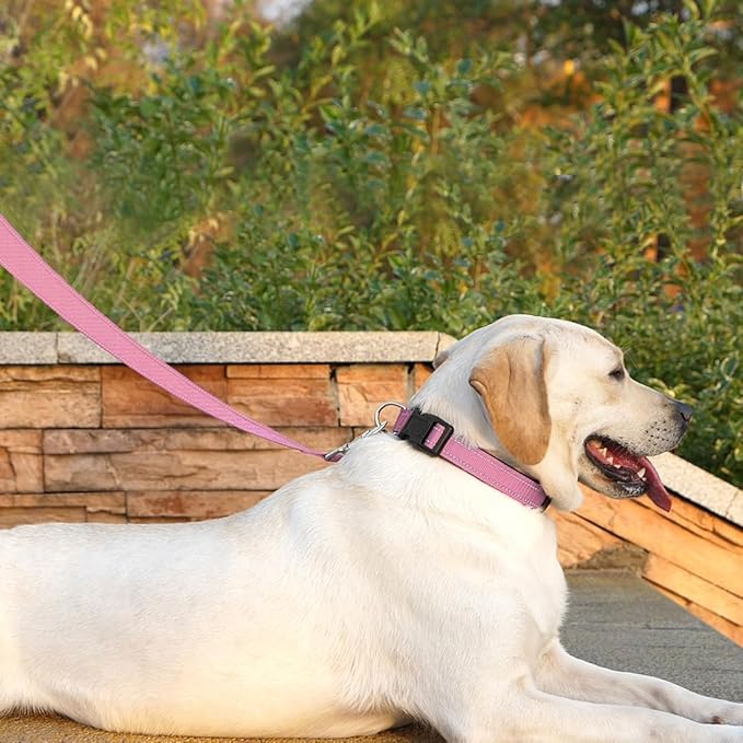 Dog Leash 6 FT Padded Handle Nylon Reflective Dogs Leashes for Large Dogs Pink