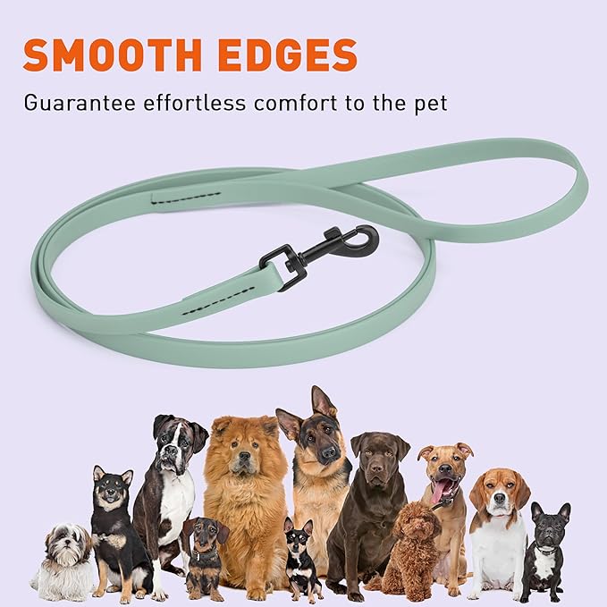 Dogline Biothane Waterproof Dog Leash Strong Coated Nylon Webbing with Black Hardware Odor-Proof Easy to Clean High Performance for Small or Large Dogs Made in USA 4 or 6 ft Lead, Sage Green