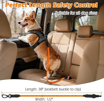 PetBonus Dog Seat Belt for Car, Durable Rope Dog Car Harness Seatbelt for Vehicle, Pet Tether Safety Restraint with Heavy Duty Buckle Hook Latch Lockable Clip for Small Medium Large Breeds (Orange)