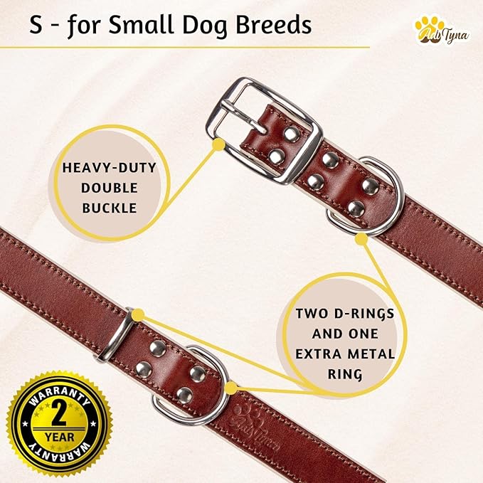 ADITYNA Heavy-Duty Leather Dog Collar for Small Dogs - Soft Padded for Comfort - Small Dog Collar for Walking, Training, and Hiking