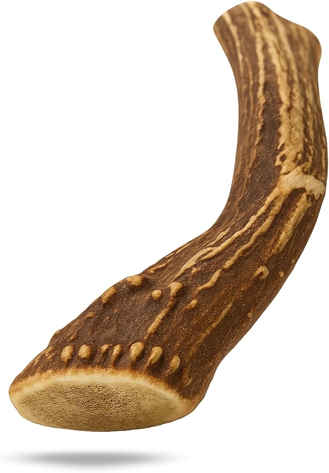 WhiteTail Naturals - Deer Antlers for Large Dogs - (1 Pack - Extra Large) - All Natural Dog Antler- Naturally Shed, Long Lasting Chew Bone, Crafted in USA for Aggressive Chewers