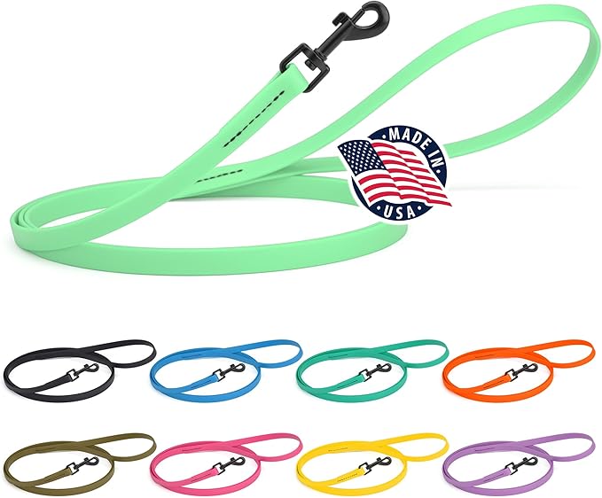 Dogline Biothane Waterproof Dog Leash Strong Coated Nylon Webbing with Black Hardware Odor-Proof Easy to Clean High Performance for Small or Large Dogs Made in USA 4 or 6 ft Lead, Sea Foam Green