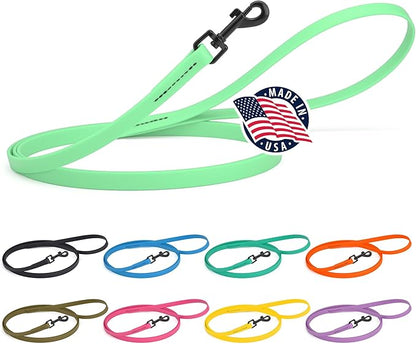 Dogline Biothane Waterproof Dog Leash Strong Coated Nylon Webbing with Black Hardware Odor-Proof Easy to Clean High Performance for Small or Large Dogs Made in USA 4 or 6 ft Lead, Sea Foam Green