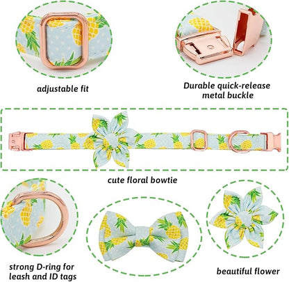 Dog Collar and Leash Set Girls Adjustable Puppy Collars with Fruit Bow Tie for Small Medium Large Female Dogs, Pineapple, XS