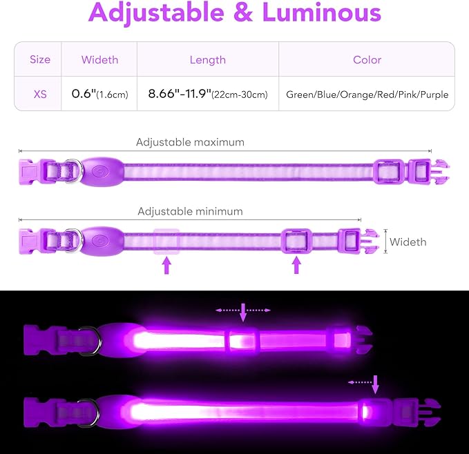 Light up Collar for Small Dog,Vizpet XS Adjustable Size Nylon Collar USB Rechargeable Bright Safety Pet Collar for Cats Small Dogs(Purple, X-Small[ 8.66-11.9 inch/22cm-30cm])