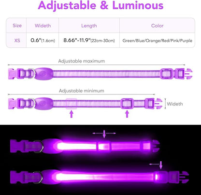 Light up Collar for Small Dog,Vizpet XS Adjustable Size Nylon Collar USB Rechargeable Bright Safety Pet Collar for Cats Small Dogs(Purple, X-Small[ 8.66-11.9 inch/22cm-30cm])