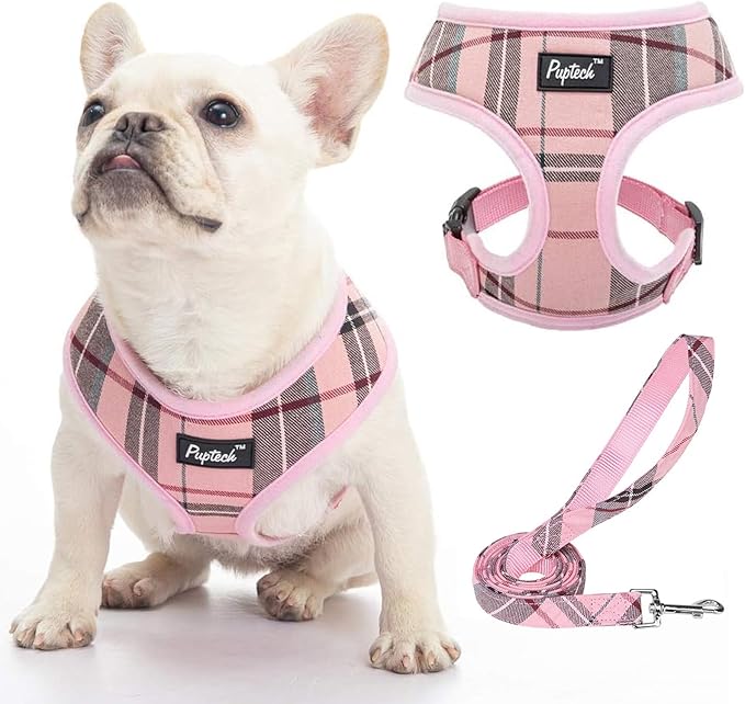 PUPTECK Soft Mesh Dog Harness and Leash Set Pet Puppy Cat Comfort Padded Vest No Pull Harnesses, Light Pink, M