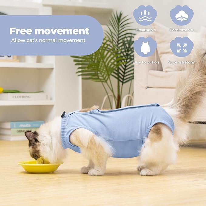 Avont Cat Recovery Suit Post-Surgery Onesie, Breathable Cone-of-Shame Alternative Bodysuit for Spayed Female Kittens, Skin Abdonminal Wound Care -Blue(M)