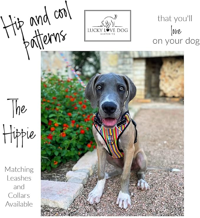 Lucky Love Dog No Pull Dog Harness, Adjustable and Easy to Walk, Cute Patterned Harness for Small Medium Large Male & Female Dogs - Hippie, Large