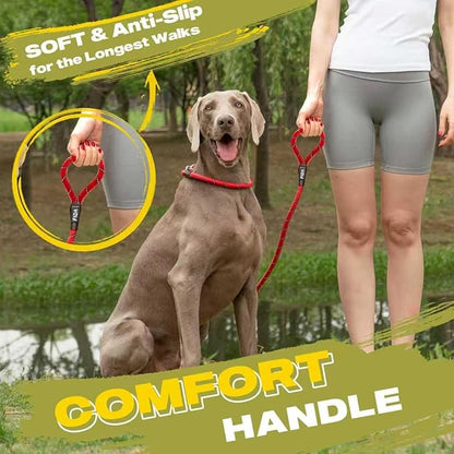 Fida Durable Slip Lead Bulk Pack of 5, Heavy Duty 1/2" x 6 FT Comfortable Strong Rope Slip Lead for Large, Medium & Small Dogs No Pulling Pet Training Leash with Highly Reflective Red