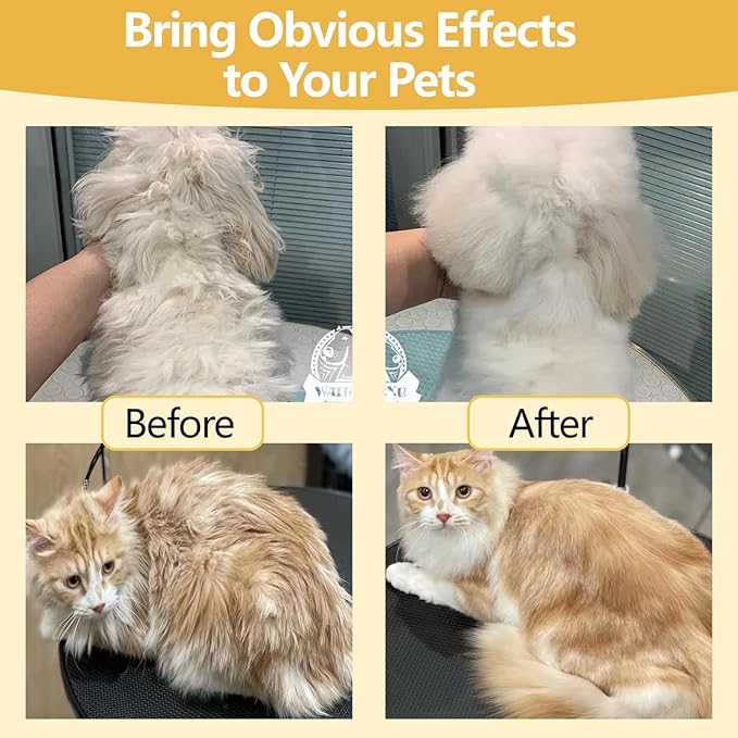Pjordo Waterless Shampoo for Cat & Dog with Honey & Shea Butter, No Rinse Dry Pet Shampoo Waterless for All Fur, Cleaning & Removes Odors, Conditioning & Anti-Tangle, Moisturizing Skin