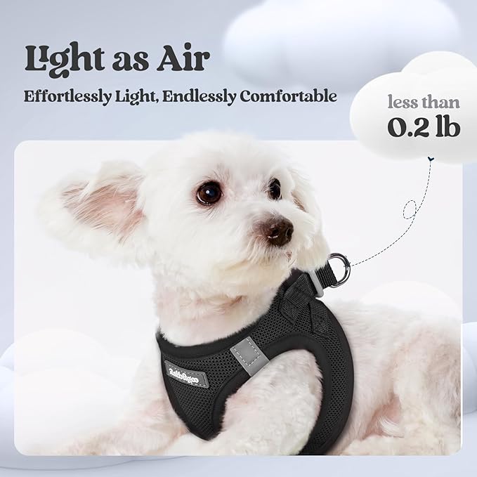 rabbitgoo Dog Harness Small Sized and Leash Set, Step in Soft Light Puppy Vest, Breathable Mesh Pet Harness, Reflective for Safe Easy Walking, Black XXS