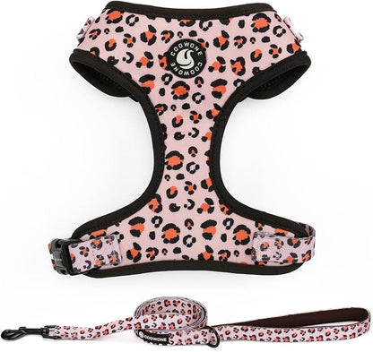 Dog Harness and Leash Set, Adjustable Dog Harness, Dog Leash, No Pull No Choke Puppy Harnesses for Walking Training for Small Medium Pet