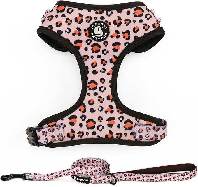 Dog Harness and Leash Set, Adjustable Dog Harness, Dog Leash, No Pull No Choke Puppy Harnesses for Walking Training for Small Medium Pet