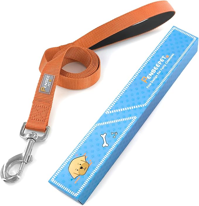 Basic Dog Leashes 6 FT Padded Handle Nylon Dogs Leashes for Large Dogs Orange