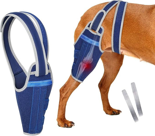 Dog Knee Brace for Torn ACL Hind Leg–Adjustable Support Dog Leg Brace for Back Leg with 2 Stabilizers, Hip Support to Reduces Pain Luxating Patella , Ligament Injuries, CCL (Blue, Right Leg, XL)