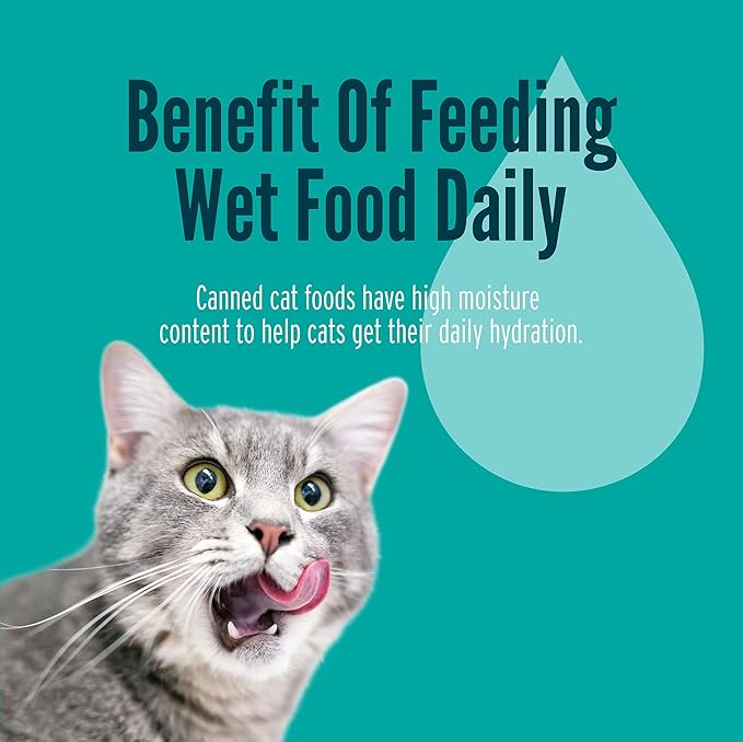 A Strong Heart Canned Wet Cat Food, Prime Filets Chicken Dinner in Gravy - 5.5 oz Cans (Pack of 24), Made in The USA with Real Chicken