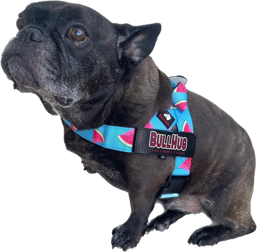 BULLHUG Adjustable Dog Harness– No Pull, No Choke – for English Bulldogs, French Bulldogs, Pugs & Broad-Chested Breeds – Easy, Safe Walks (Watermelon, Small)
