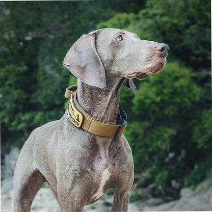 OneTigris Tough Dog Collars, Tactical Dog Collar with Handle, Milltary Adjustable Dog Collar with Heavy Duty Metal Buckle for Training (Large (Pack of 1), Brown)