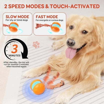 QGI Interactive Dog Toys, Random Path Electric Automatic Moving and Rolling Dogs Toy with Rope for Small Medium Large Dogs, Motion-Activated Dog Stimulation Toy for Boredom Relief (Orange)
